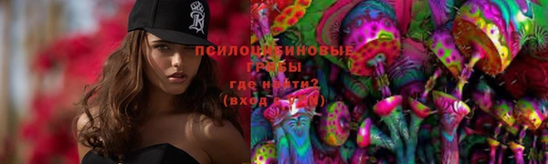стаф Тавда