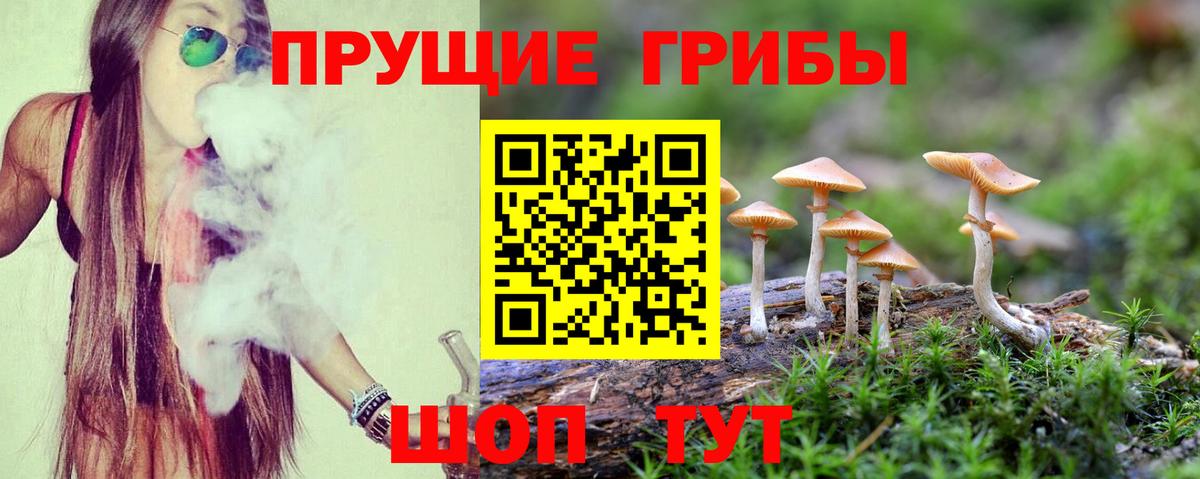 Псилоцибиновые грибы мицелий Верхняя Салда