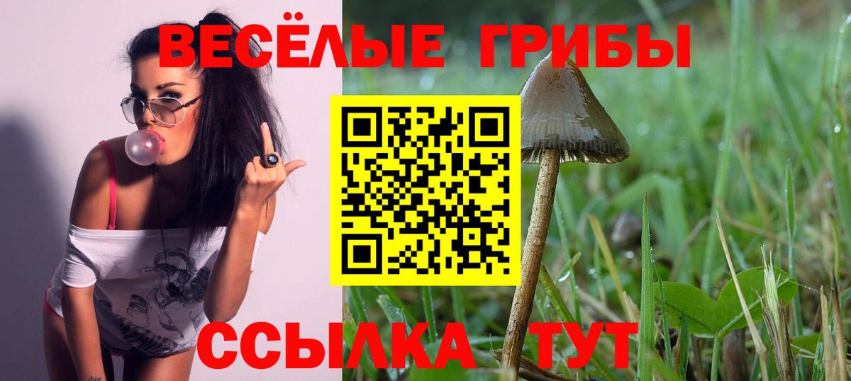 Верхняя Салда  Галлюциногенные грибы Psilocybe  где найти наркотики  Вход с VPN 
